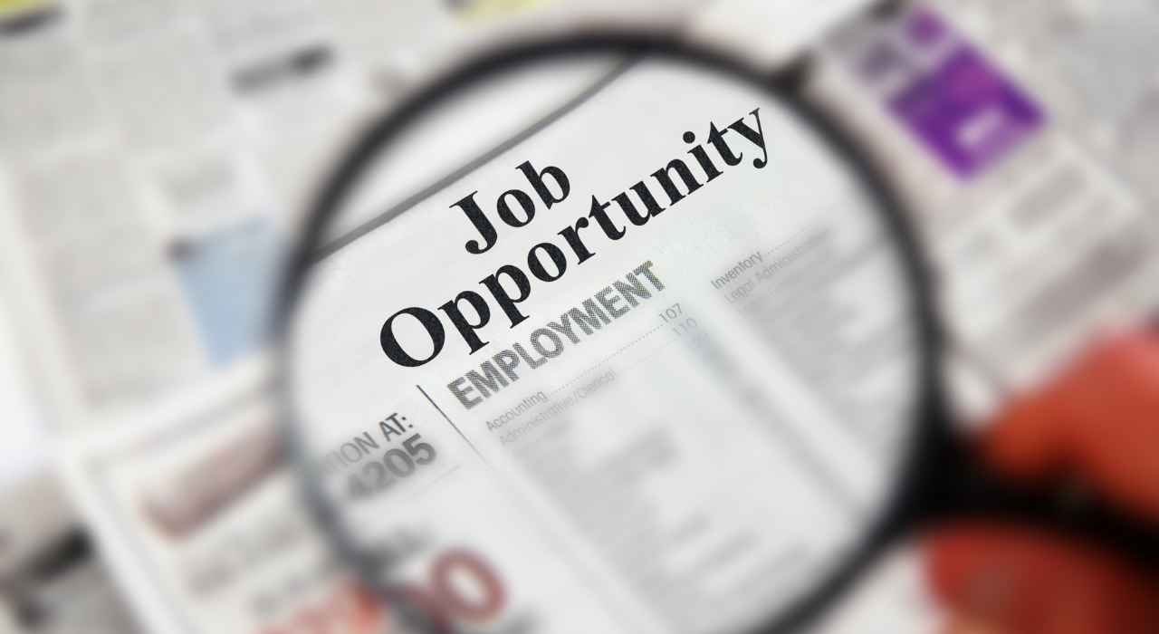 Government Job 2023 FPSC jobs